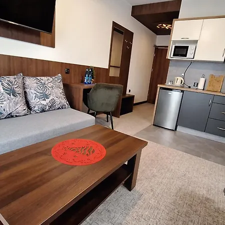 Apartment U Kosle 2