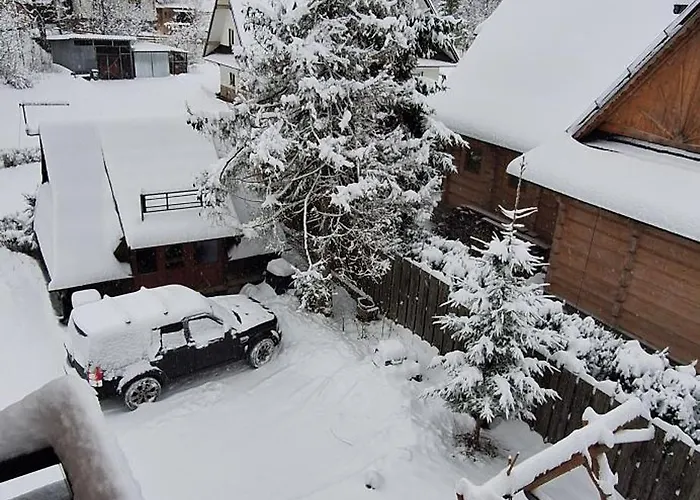 U Kosle 2 * זקופאנה